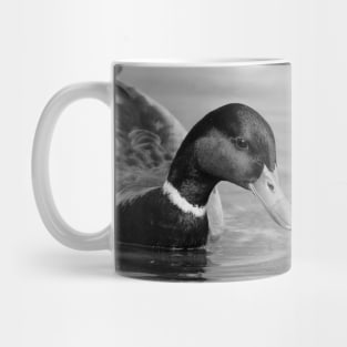 Mallard Duck Monday Mug